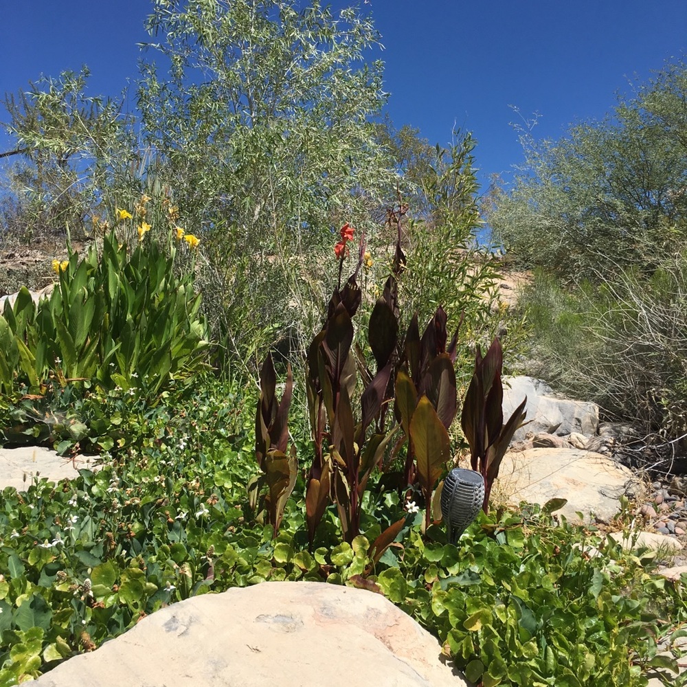 Meet your Posher, Tamera